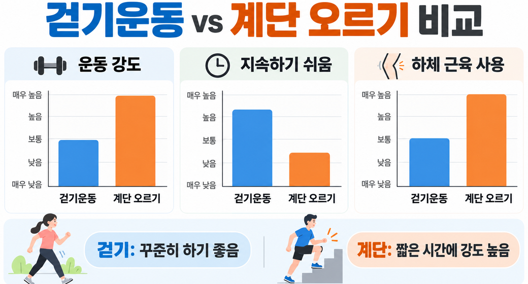 계단 오르기 vs 걷기운동, 중년 체력 관리에는 무엇이 다를까?