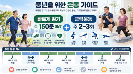 중년 뱃살이 잘 빠지지 않는 이유, 운동과 생활습관 점검하기