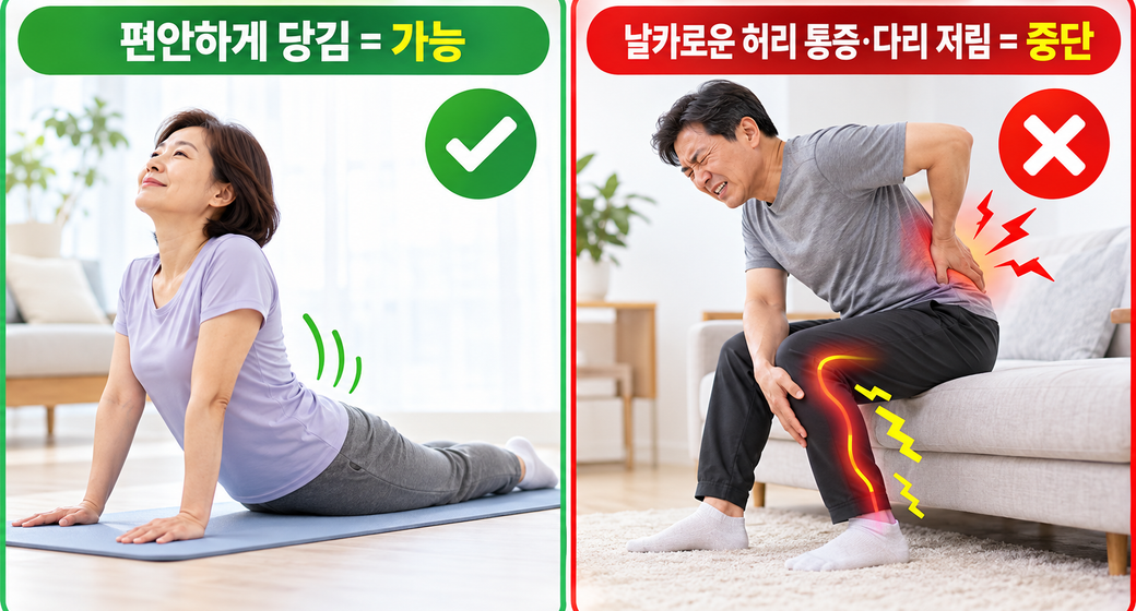 허리 스트레칭은 언제 해야 할까? 운동 전후 차이와 올바른 방법