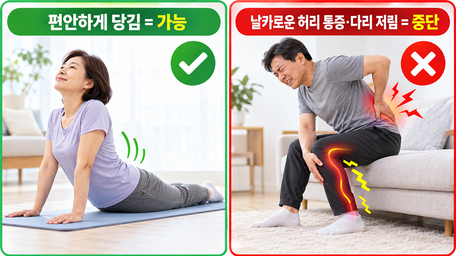 허리 스트레칭은 언제 해야 할까? 운동 전후 차이와 올바른 방법